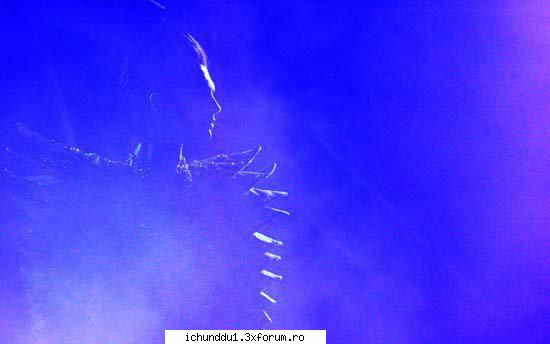 Bill concert - Emma - Bill Kaulitz